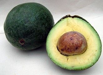 Palta - Avocado