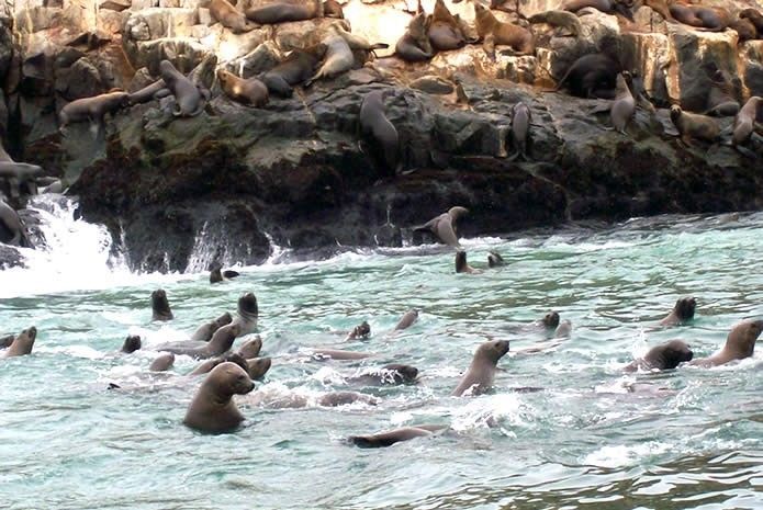 Palomino Island offshore Callao