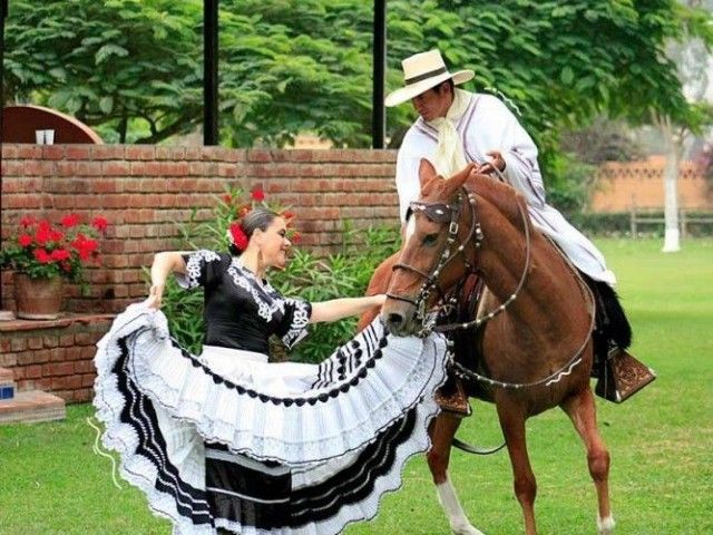 National Peruvian Paso Horse Competition in Mamacona, Pachacamac, Lima