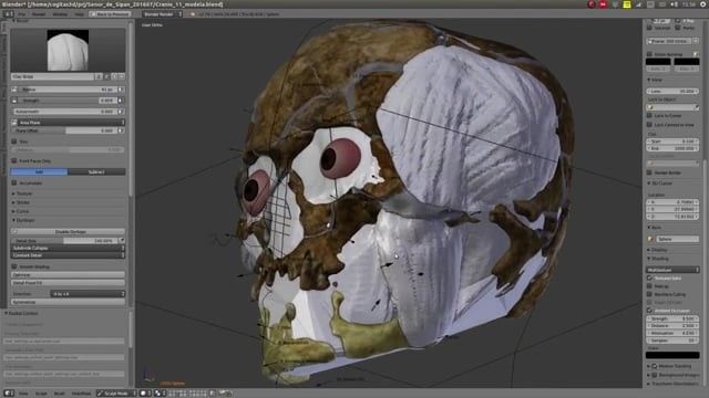 Face of Lord of Sipan - Reconstruction of a 2000 year old skull